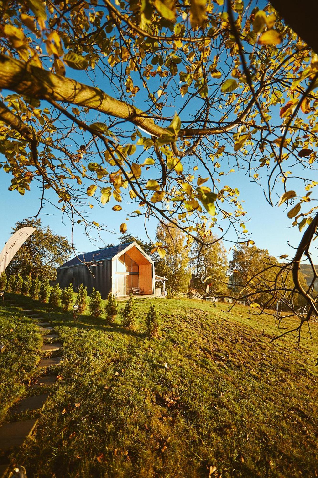 Scandinave Chalet Bran Zarnesti Exterior photo