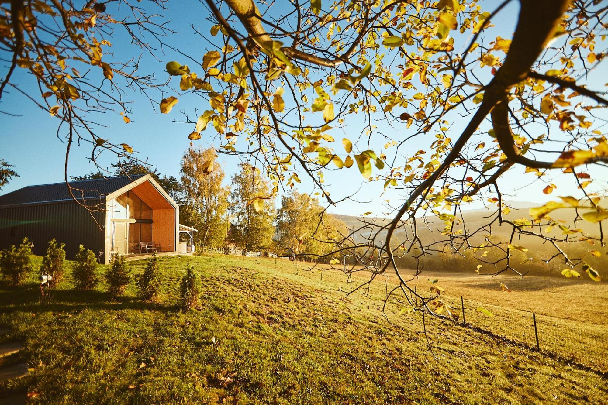 Scandinave Chalet Bran Zarnesti Exterior photo