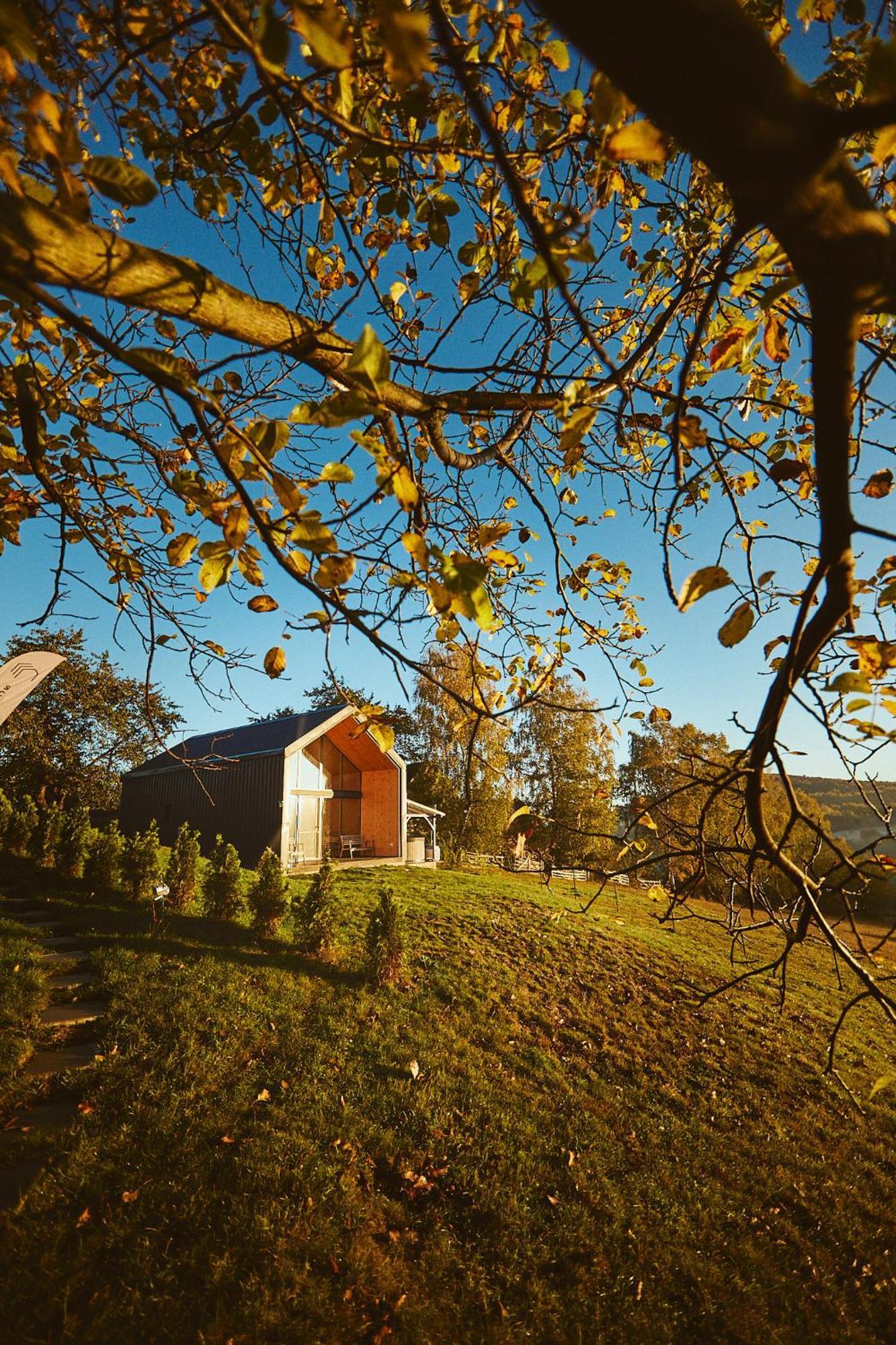 Scandinave Chalet Bran Zarnesti Exterior photo